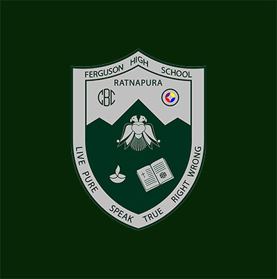 Ferguson High School logo
